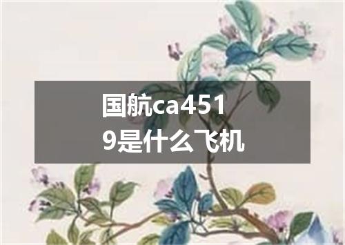 国航ca4519是什么飞机