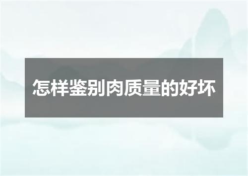 怎样鉴别肉质量的好坏
