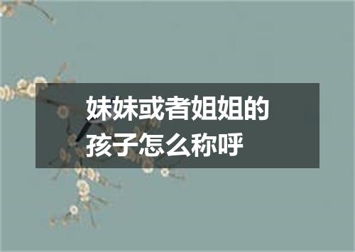 妹妹或者姐姐的孩子怎么称呼