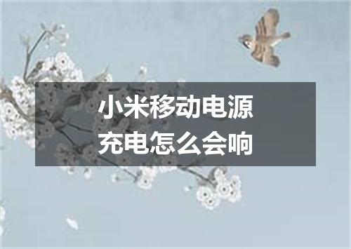 小米移动电源充电怎么会响