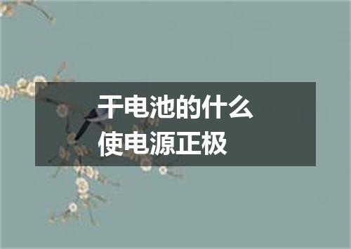 干电池的什么使电源正极
