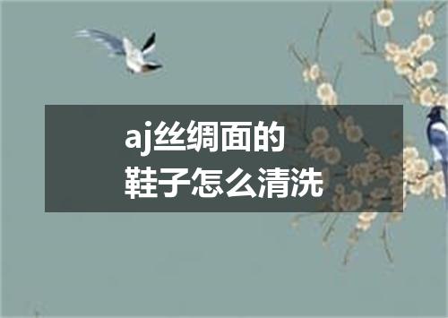 aj丝绸面的鞋子怎么清洗