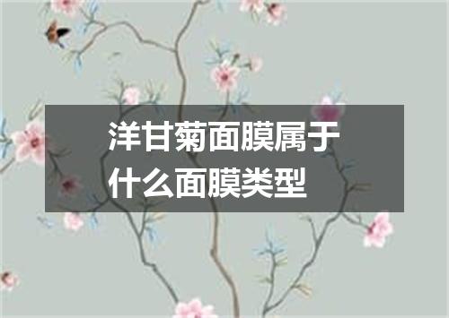 洋甘菊面膜属于什么面膜类型