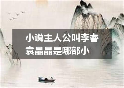 小说主人公叫李睿袁晶晶是哪部小