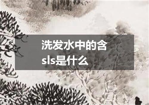 洗发水中的含sls是什么