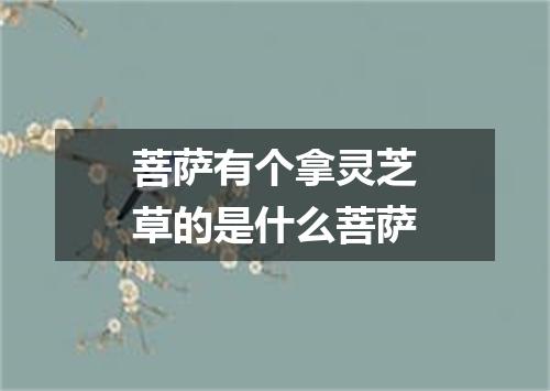 菩萨有个拿灵芝草的是什么菩萨