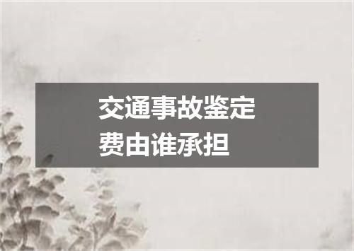 交通事故鉴定费由谁承担