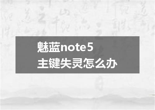 魅蓝note5主键失灵怎么办