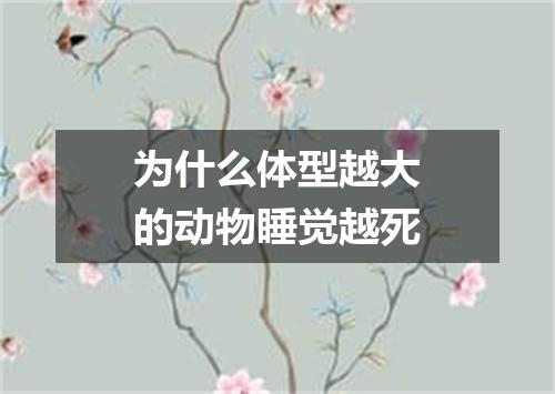 为什么体型越大的动物睡觉越死