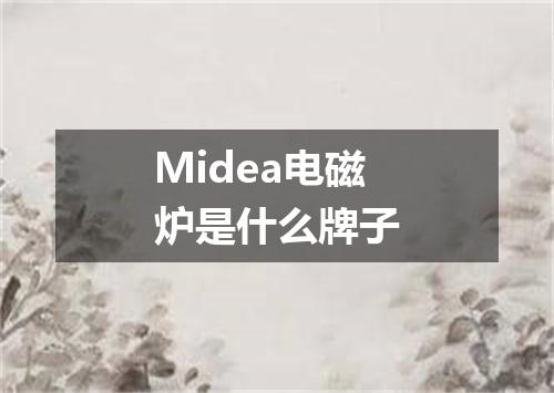 Midea电磁炉是什么牌子