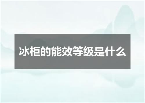 冰柜的能效等级是什么
