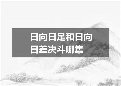 日向日足和日向日差决斗哪集