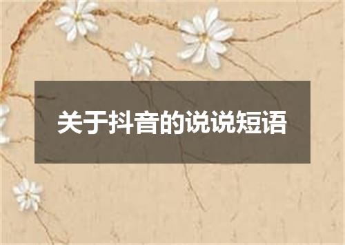 关于抖音的说说短语