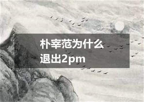 朴宰范为什么退出2pm