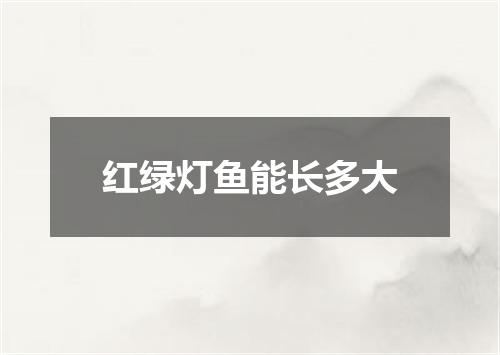 红绿灯鱼能长多大