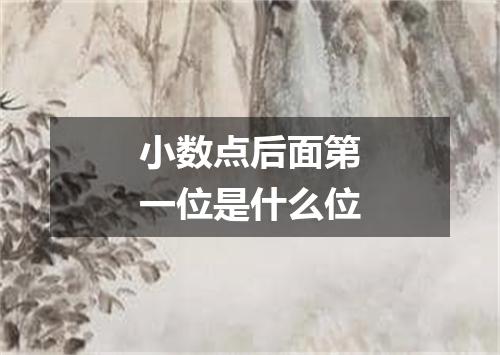 小数点后面第一位是什么位