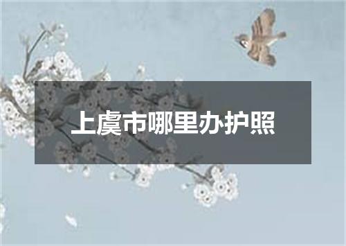 上虞市哪里办护照