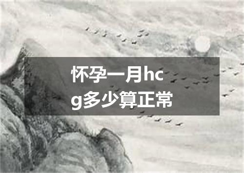 怀孕一月hcg多少算正常