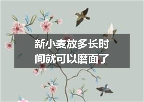 新小麦放多长时间就可以磨面了