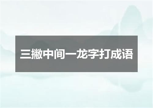 三撇中间一龙字打成语