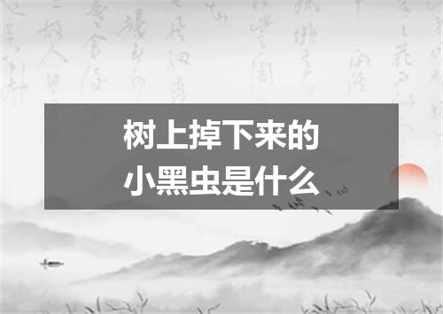 树上掉下来的小黑虫是什么