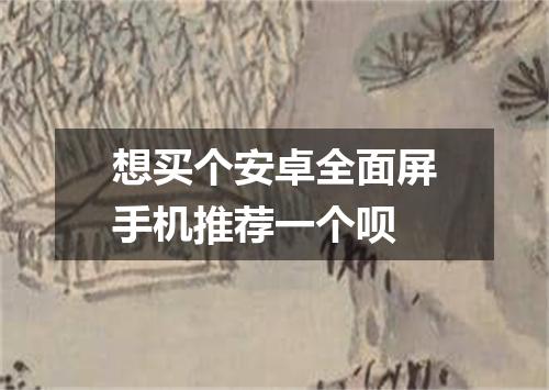 想买个安卓全面屏手机推荐一个呗