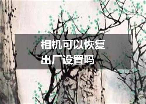 相机可以恢复出厂设置吗