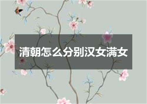 清朝怎么分别汉女满女