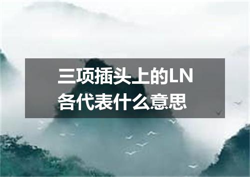 三项插头上的LN各代表什么意思