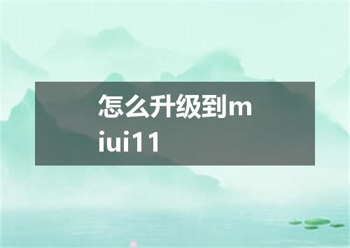 怎么升级到miui11