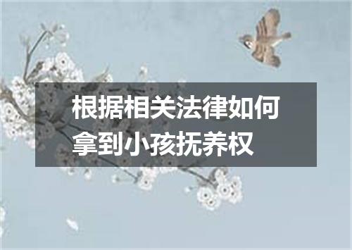 根据相关法律如何拿到小孩抚养权