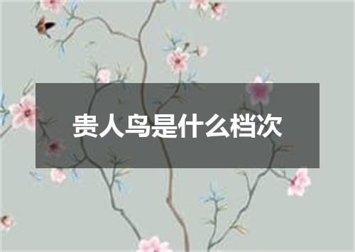 贵人鸟是什么档次