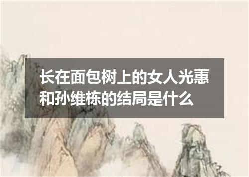 长在面包树上的女人光蕙和孙维栋的结局是什么