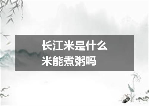长江米是什么米能煮粥吗