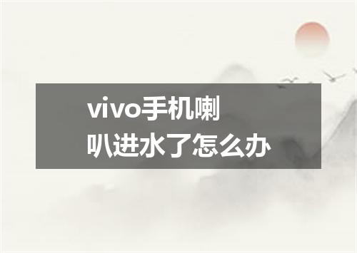 vivo手机喇叭进水了怎么办