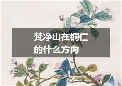 梵净山在铜仁的什么方向
