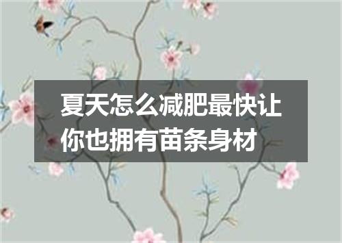 夏天怎么减肥最快让你也拥有苗条身材