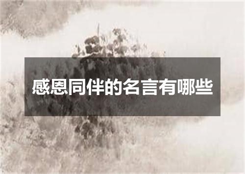 感恩同伴的名言有哪些