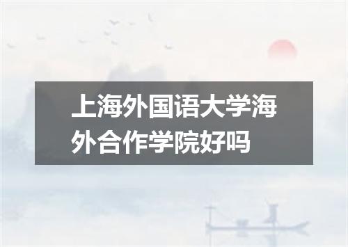 上海外国语大学海外合作学院好吗