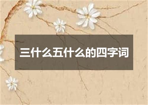三什么五什么的四字词