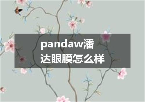 pandaw潘达眼膜怎么样