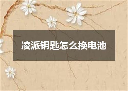 凌派钥匙怎么换电池