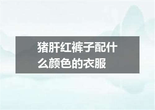 猪肝红裤子配什么颜色的衣服