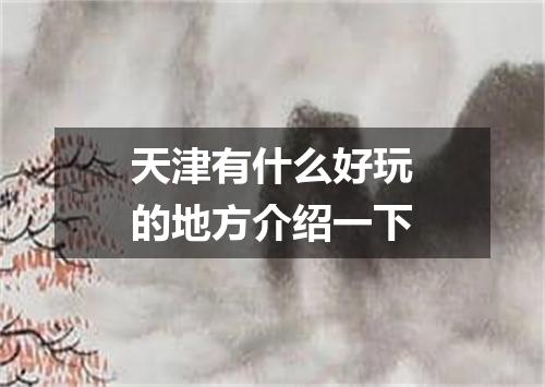 天津有什么好玩的地方介绍一下