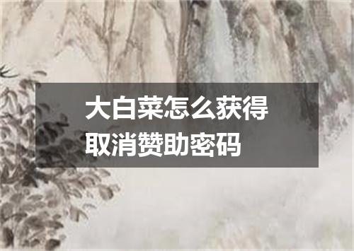 大白菜怎么获得取消赞助密码