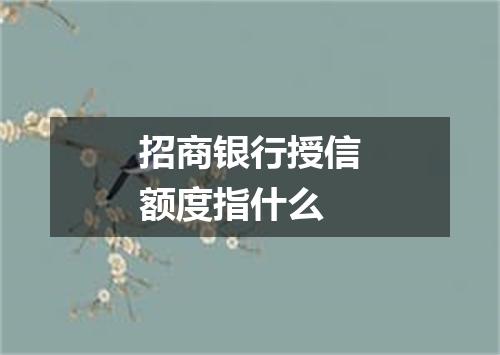 招商银行授信额度指什么