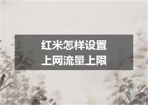 红米怎样设置上网流量上限