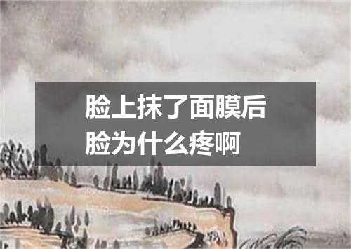 脸上抹了面膜后脸为什么疼啊
