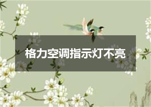 格力空调指示灯不亮