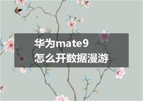 华为mate9怎么开数据漫游